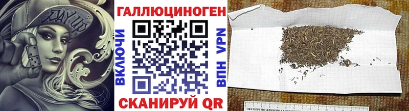 Купить закладки  Киреевск  Псилоцибиновые грибы Cubensis 